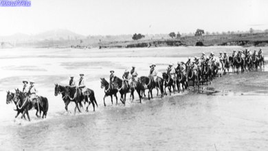 The Calcutta Light Horse