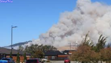 christchurch port hills fire