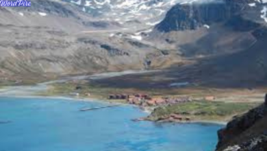 Husvik South Georgia