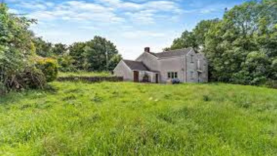 Houses for Sale in Cwmavon Port Talbot