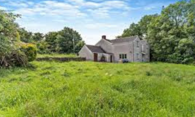 Houses for Sale in Cwmavon Port Talbot