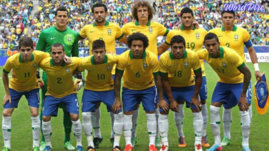 brazil team in 2006 world cup