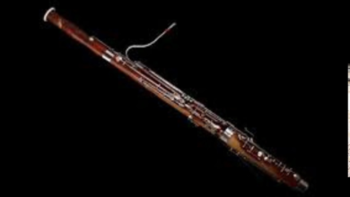 Bassoon Instrument