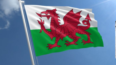 Welsh Flag