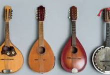 Mandolin