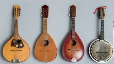 Mandolin