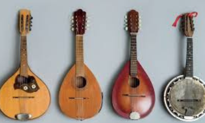 Mandolin
