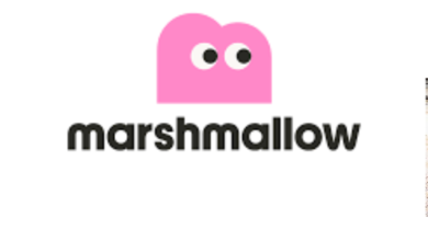 Marshmallow Insurance