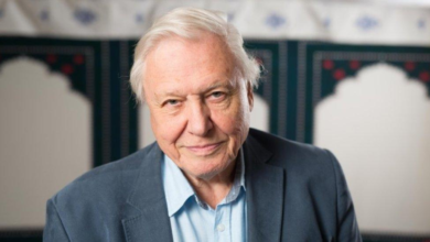 How Old Is David Attenborough