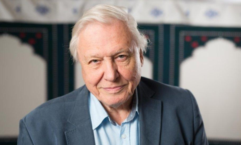 How Old Is David Attenborough