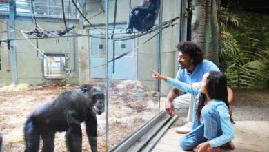Twycross Zoo