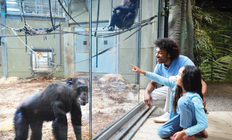 Twycross Zoo