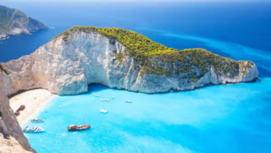 Zante