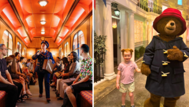 Paddington Bear Experience