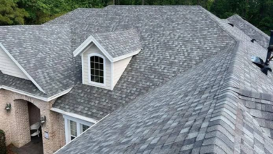 Why a Shingle Roof Is One of the Most Popular Roofing Choices
