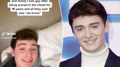 is noah schnapp gay