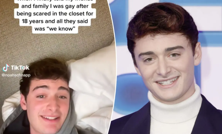is noah schnapp gay