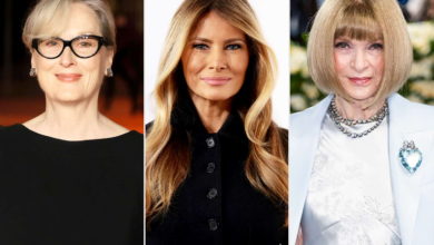 meryl streep discusses melania trump's controversial jacket with anna wintour