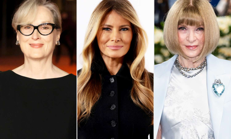 meryl streep discusses melania trump's controversial jacket with anna wintour