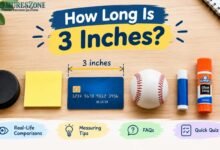 how long is three inches
