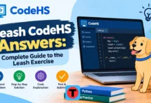 leash codehs answers